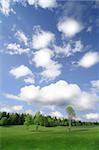 Sunny day with white fluffy clouds against a blue sky and bright green trees.