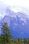 Landscape of high snowy mountains with evegreen trees