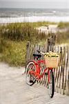 Red vintage bicycle with basket and flowers leaning against wooden fence at beach.