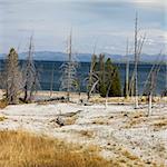 Barren shoreline at Yellowstone National Park, Wyoming.