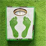 Vintage foot scale with green footprints against green carpet.