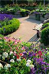 Formal garden with blooming flowers in the summer