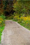 Rural dirt road in Ontario, Canada