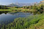 View of the Drakensberg mountains, Royal Natal National Park, South Africa