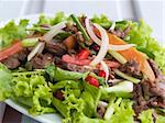 Thai beef salad, yam nua, a very spicy salad with cold, fried beef, onion, garlic, chili pepper, tomato and spring onion. Shallow depth of field.