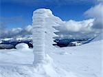 Downhill skiing tracks among fir trees in winter mountains