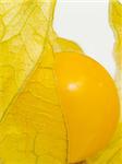 Close-up of a physalis. Focus on the berry.