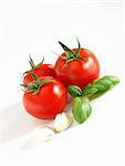 Close up of fresh tomatoes, basil and garlic, all on a white background