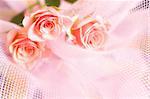 wedding bouquet of roses. Low DOF, focal point is on the central flower