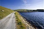 wales reservoir valley of the river claerwen