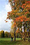 Picturesque autumn landscape of river and bright trees and bushes