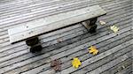 wooden bench on the deck in the autumnal park with few yellow maple leafs