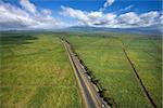Aerial view of road passing through farmland fields in Maui, Hawaii.