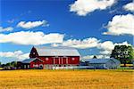 Rural lanscape with red barn in rural Ontario, Canada.