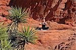 Doing yoga on red rocks