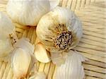 Still Life with garlic