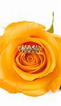 Yellow rose with diamond ring