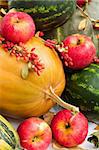 colorful pumpkins, apples, water melons