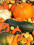 Close-up of some different color and shape pumpkins