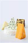 Assorted cheeses, brie, parmesan, irish cheddar, blue and smoked cheddar cheese.