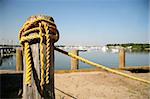 Old yellow rope at marina