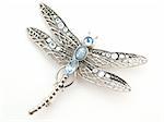 isolated dragonfly jewelry on white background