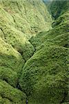 Aerial view of rainforest valley in Maui, Hawaii.