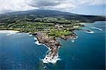 Aerial view of buildings on coastline of Maui, Hawaii.