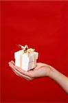 A wrapped and decorated giftbox in the palm of a hand against a red backdrop - suitable for Christmas, birthday or other special occasion