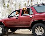 Woman and dog in dirt splattered SUV looking out windows in snowy countryside.