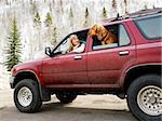 Woman and dog in dirt splattered SUV looking out windows at eachother in snowy countryside.