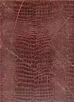 Highly detailed antique book cover close up photo. Great grunge background or grunge layer for your projects