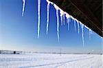 Icicles hanging fom roof in winter