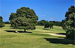 FantastiC Natural Golf Playground