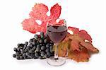 glass of red wine and black grapes on white background