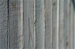 wooden wall texture