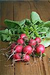 Bunch of fresh radishes from the garden on wooden surface