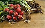 Bunch of fresh and dirty radishes and scallion from the garden on wooden surface