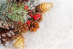 Pine branch with berries, ornaments, cones and snow