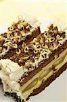 Delicious tiramisu cake with special decoration