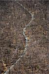 Aerial view of winding rural road through baren forest.