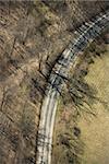 Aerial view of rural country dirt road with bare trees.