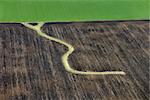 Aerial view of farmland with curvy path.