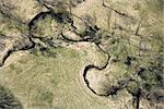 Aerial view of winding stream in rural countryside with trees.