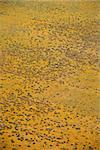 Aerial of rural grassland in California, USA.