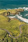 Aerial of winding road Shoreline Highway on west coast with Pacific Ocean in California, USA.