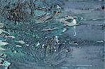 Old wood plank surface detail. Peeling paint texture. Abstract background.