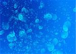 Computer designed abstract background , blue bubbles