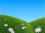 3d rendered illustration of a green hill with flowers