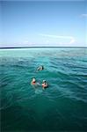 Snorkeling in the Indian ocean - Maldives